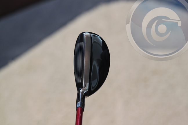 Miura Japan Only Hybrid Miura Japan Hybrid Review