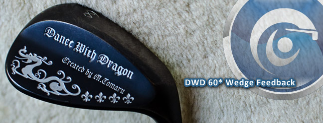 dwd60slide