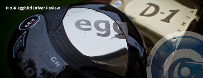 eggbird-slide