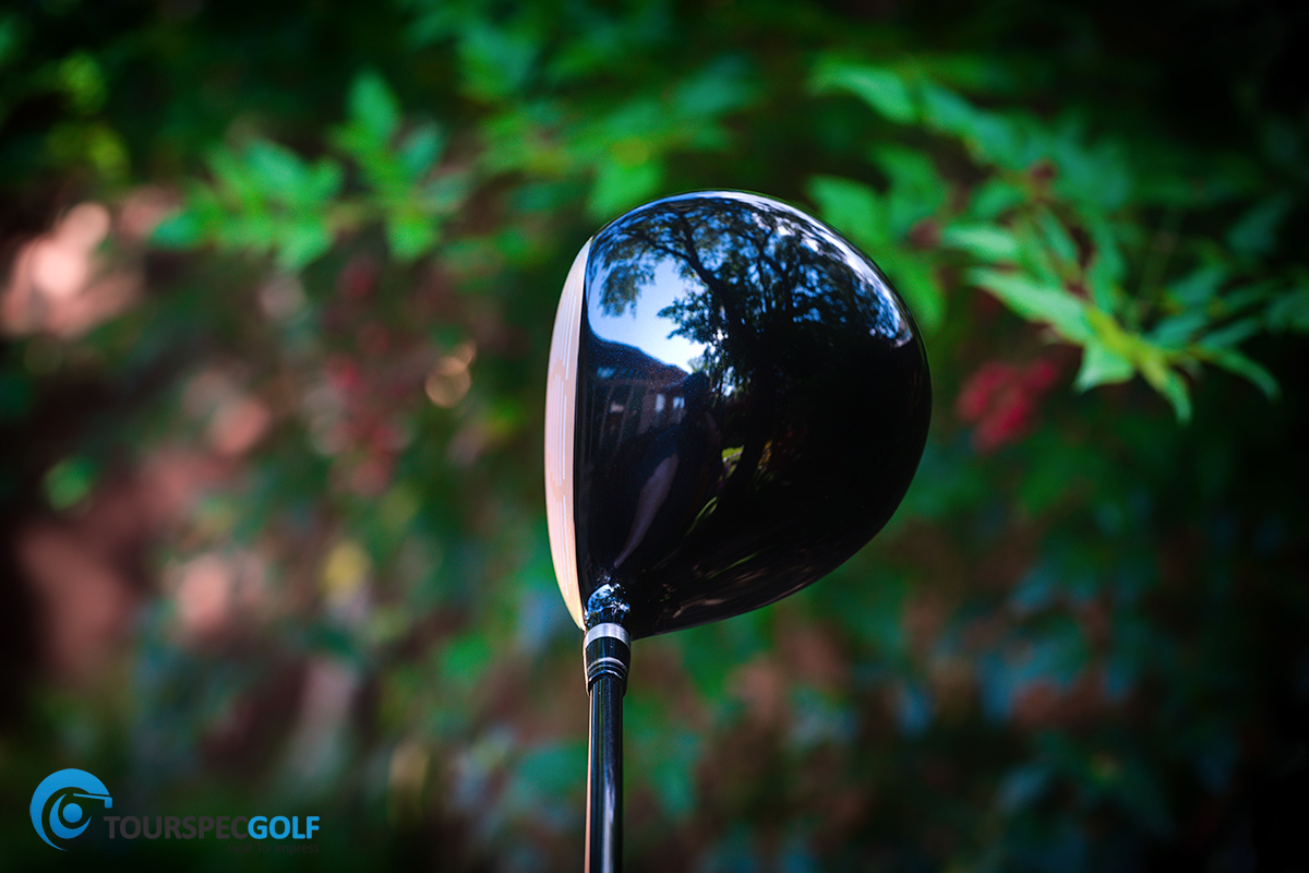 DSC1105-Edit.jpg
