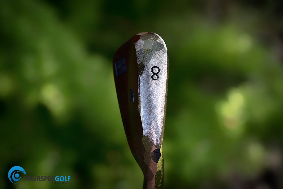 DSC1442-Edit.jpg
