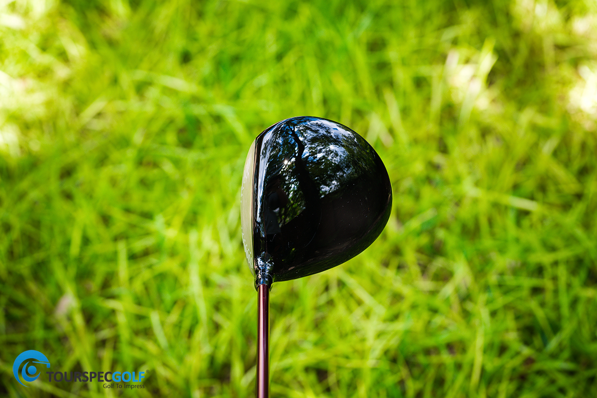 DSC5927-Edit.jpg
