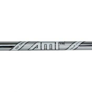 Dynamic Gold AMT Tour White Iron Shaft 5-PW ( 6pcs )