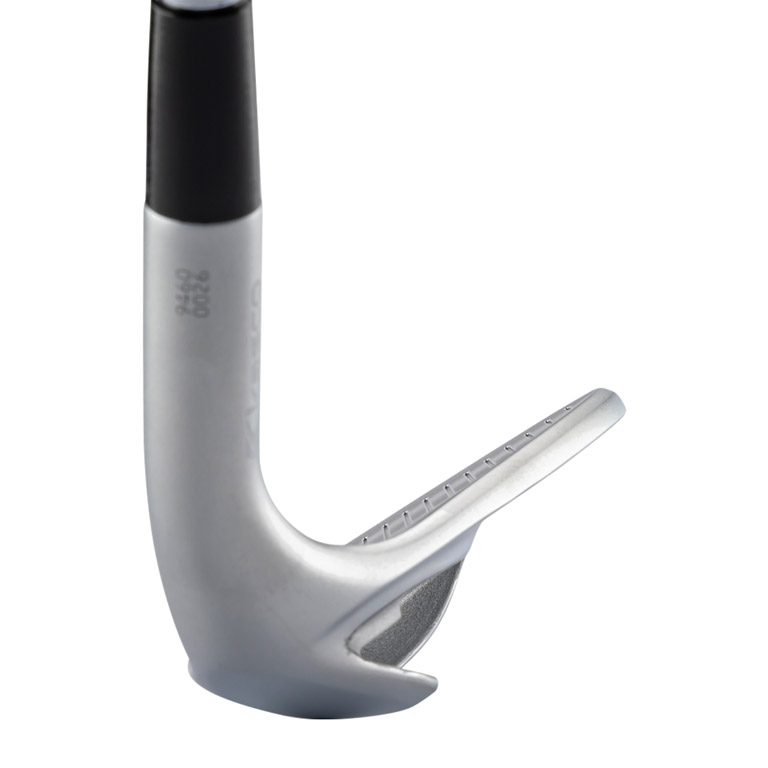 Kasco Dolphin Wedge DW-125G for Ladies