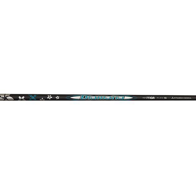 prgr_rs_driver_2024_1_.jpg