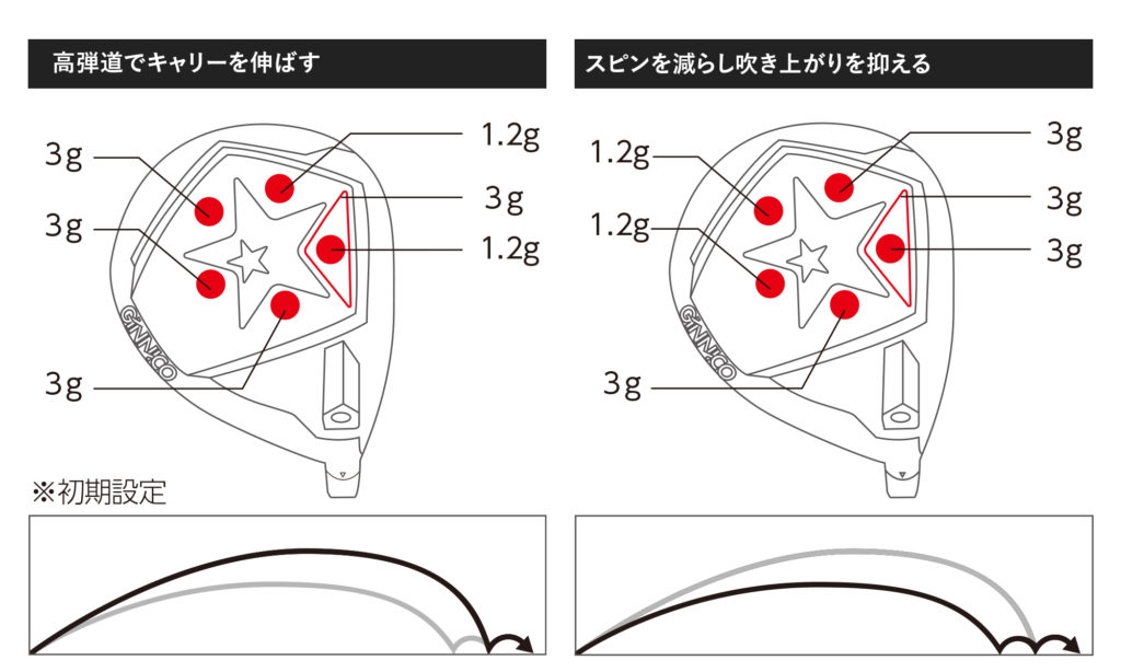 Ginnico Model 01 Driver