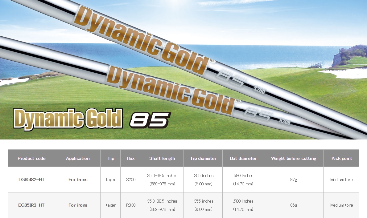 True Temper Dynamic Gold 85 Iron Shaft Set