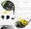 Callaway Epic Flash Star Driver - JDM Version