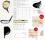 XXIO Japan 2017 Prime Fairway Wood